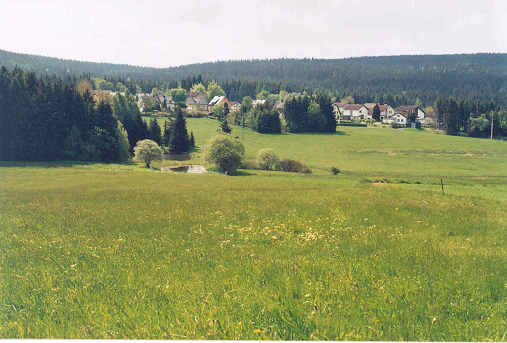 Blick nach Geroldsreuth